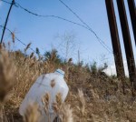 borderfence_plasticbottle